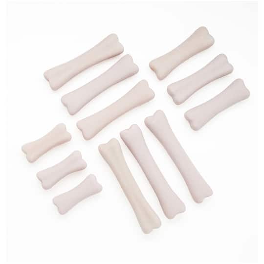 Yellow Door Dinosaur Bones Discovery Set in White | Michaels®
